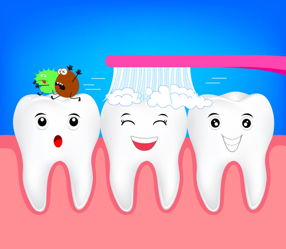 Cartoon teeth being brushed with germs fleeing